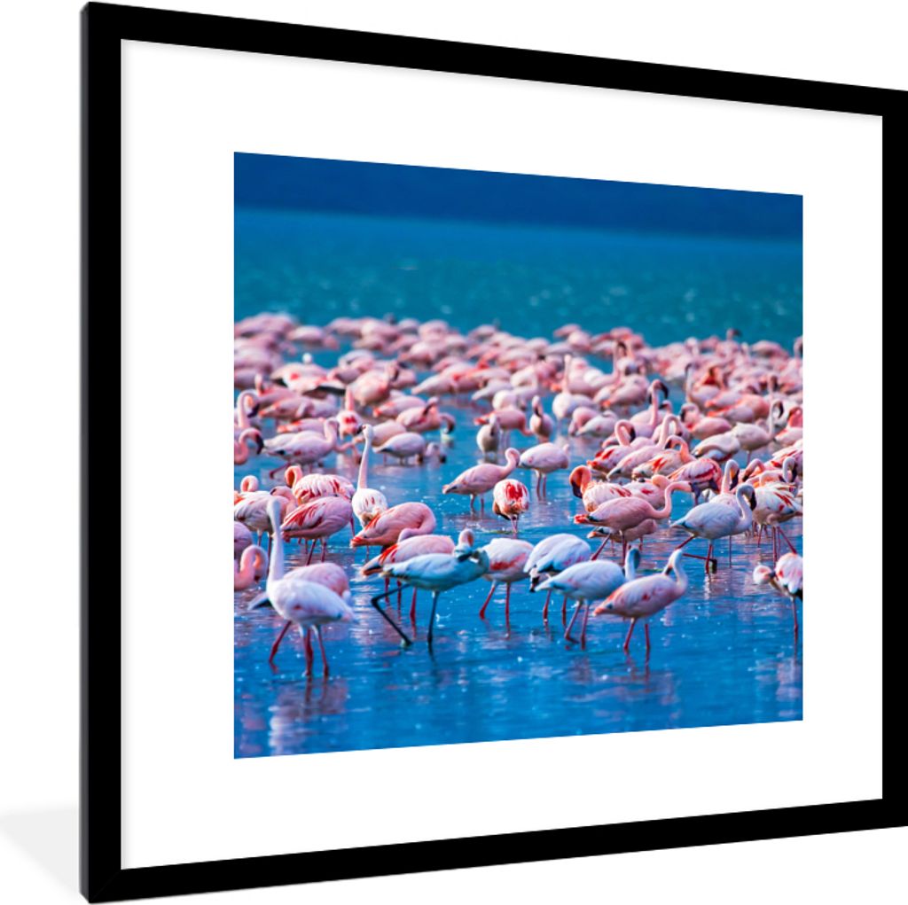 MuchoWow Gerahmtes Poster Flamingo - Wasser - Tropisch - Rosa 40x40 cm - Poster mit Schwarzem Bilderrahmen Wandposter Rahmen Foto Bilder - Poster...