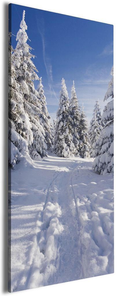 Wallario Premium Leinwandbild Wanderweg im Schnee in Größe 30 x 75 cm