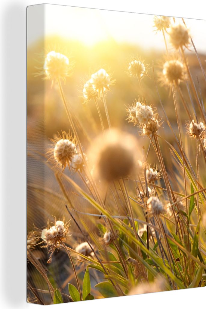 OneMillionCanvasses - Leinwandbilder - 90x120 cm, Pflanzen - Natur - Blumen - Sonne - Horizont, Wandbilder Kunstdruck Wanddekoration - Foto auf L...