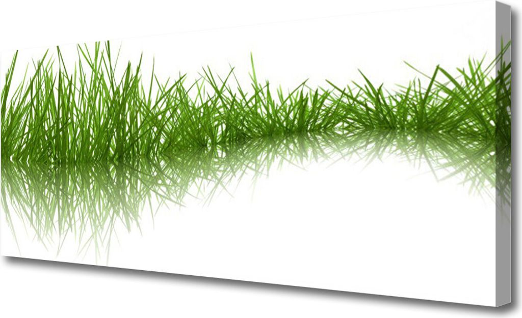 Tulup Leinwand-Bilder 125x50 Wandbild Canvas Kunstdruck Gras Natur