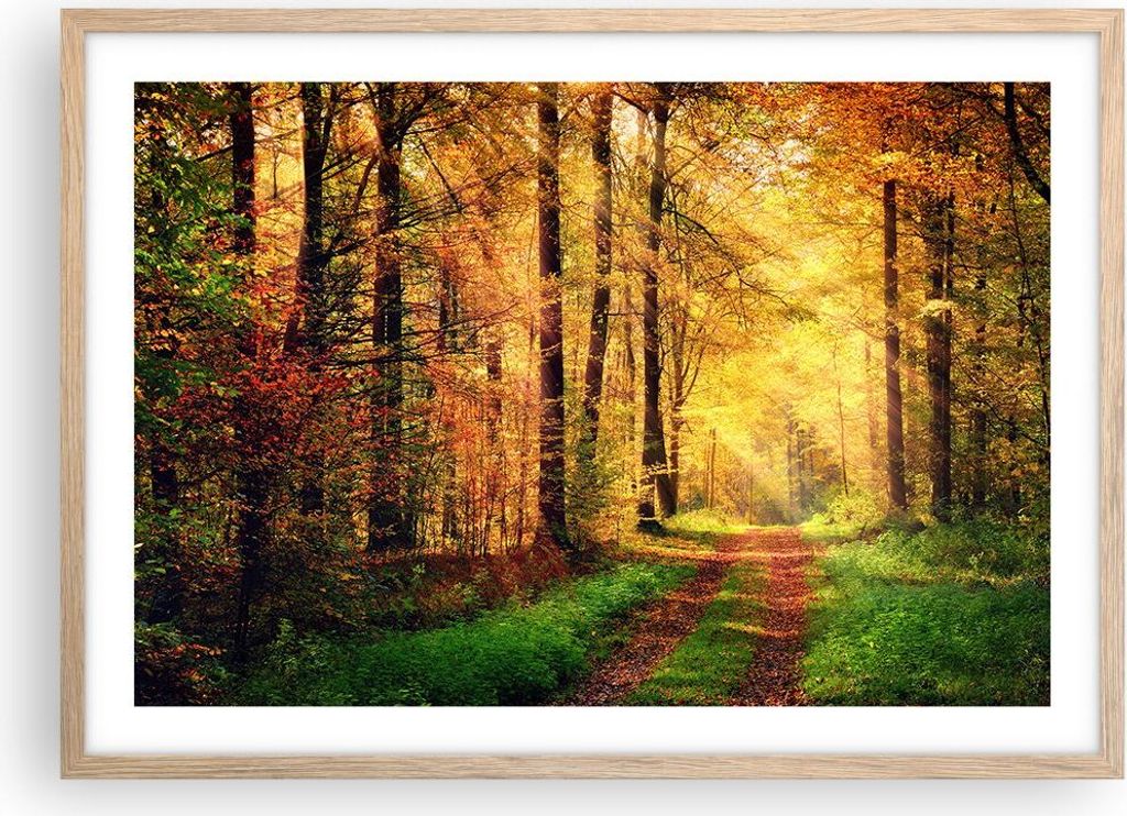Gerahmtes Poster - Rahmen in heller Eiche - Wald Baum Natur - 70x50 cm - Wand Bild - Wanddeko - Wandbilder - Kunstposter - Wandposter - Bilderrahme...