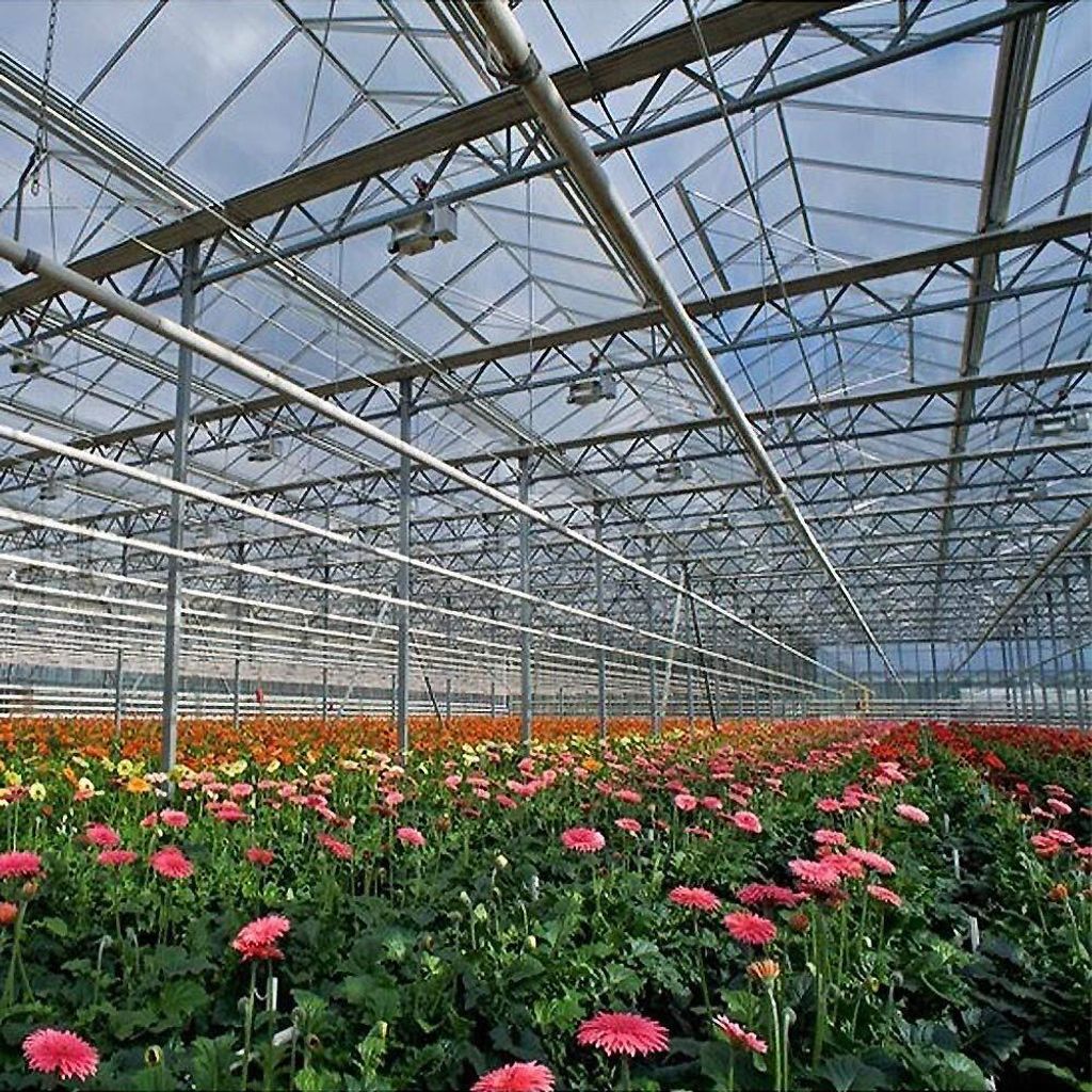 Ersatzteile Gewächshaus Hohlkammerplatten - Die 15 Besten Produkte Im