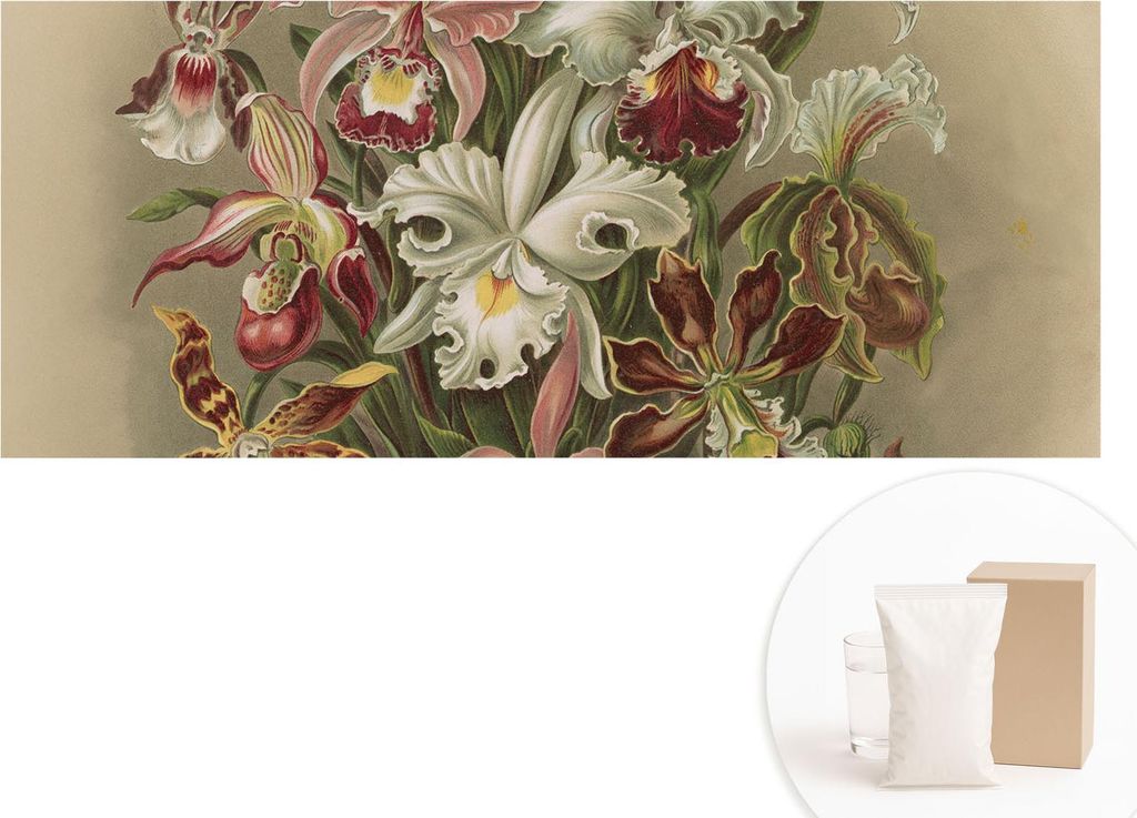 Fototapete - Wandbilder für Wohnzimmer - 208x146 cm - Dekorative Wandfolie - Modernes Design für Wanddekoration - Tapeten für Innenräume - Flor...