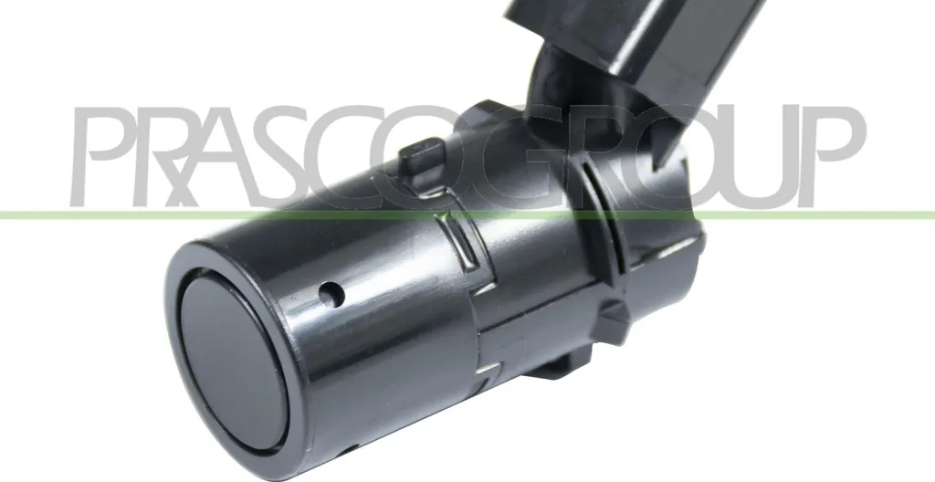 Sensore Parcheggio Posteriore Audi A3 8P PRASCO - Verniciabile OE