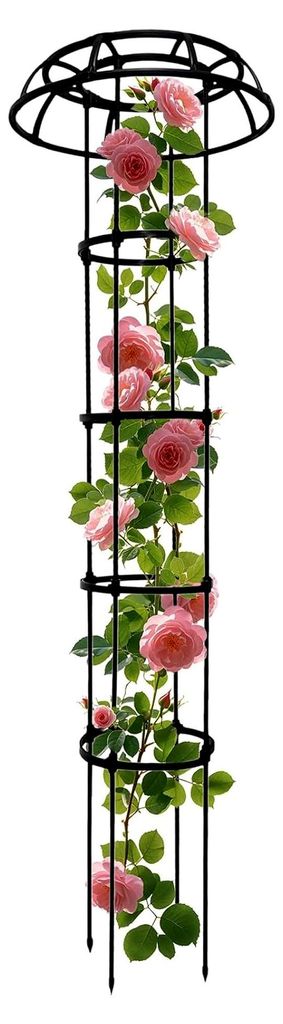 Garten Rankturm, Pflanzen Spalier Unterstützung - Spaliere für Bohnen, Gurken, Zucchini, Weinreben, Rosen, Clematis