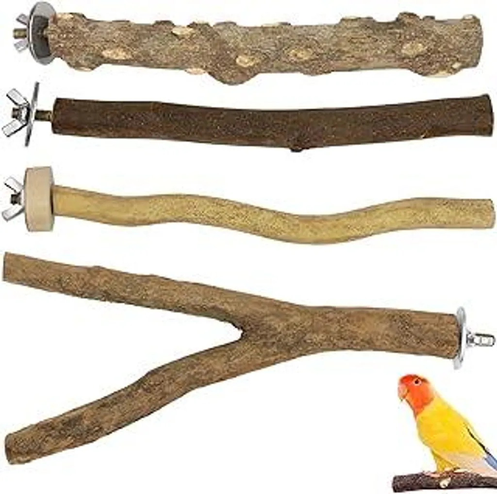 Set 4 Posatoi Legno Naturale per Uccelli: Accessori Gabbia Pappagallini