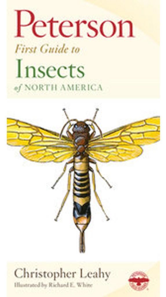 Peterson First Guide to Insects