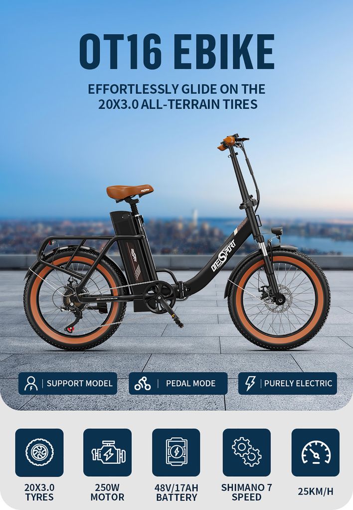 Onesport 20 Zoll Elektrofahrrad ebike Pedelec mit 48V 17 Ah Produktbild 5