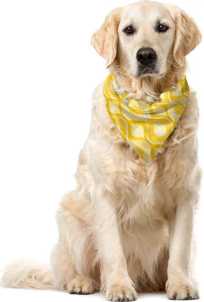 ABAKUHAUS Bandana per animali domestici Stammes, ispirata alle stampe animalier, 55x55 cm, giallo terra e bianco