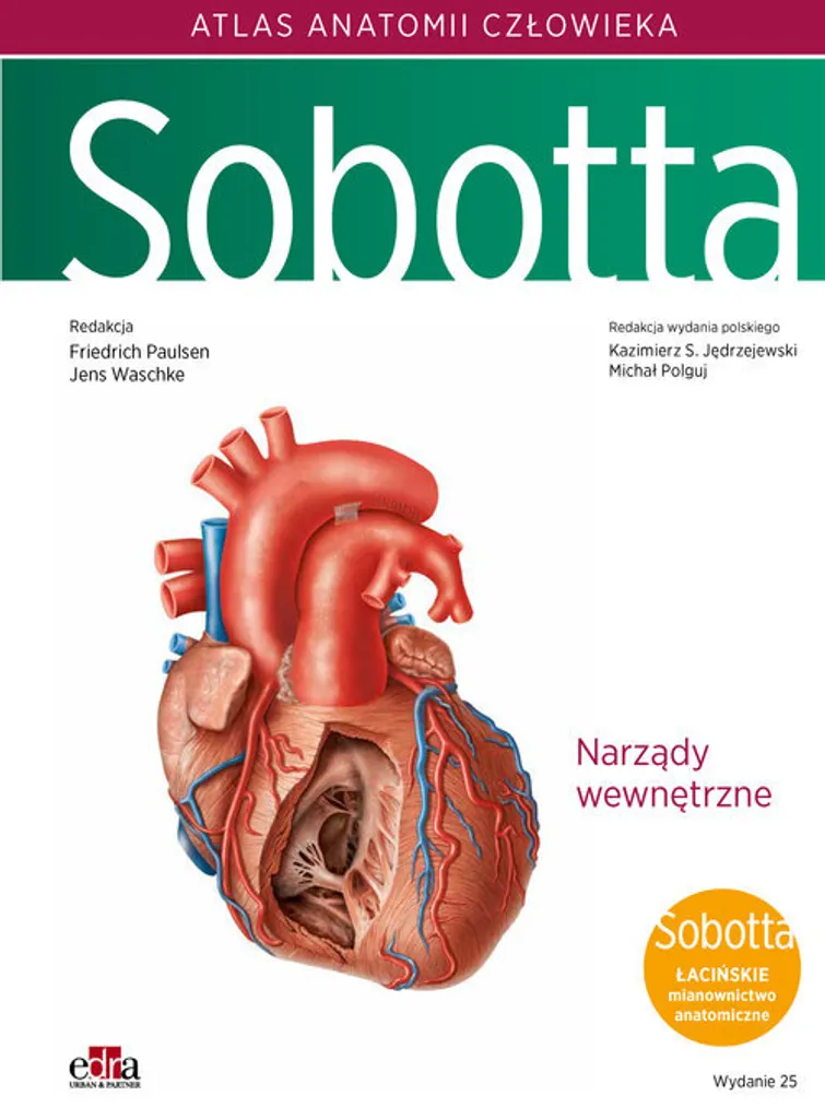 Atlas d'anatomie humaine Sobotta Volume 2 Organes internes du thorax