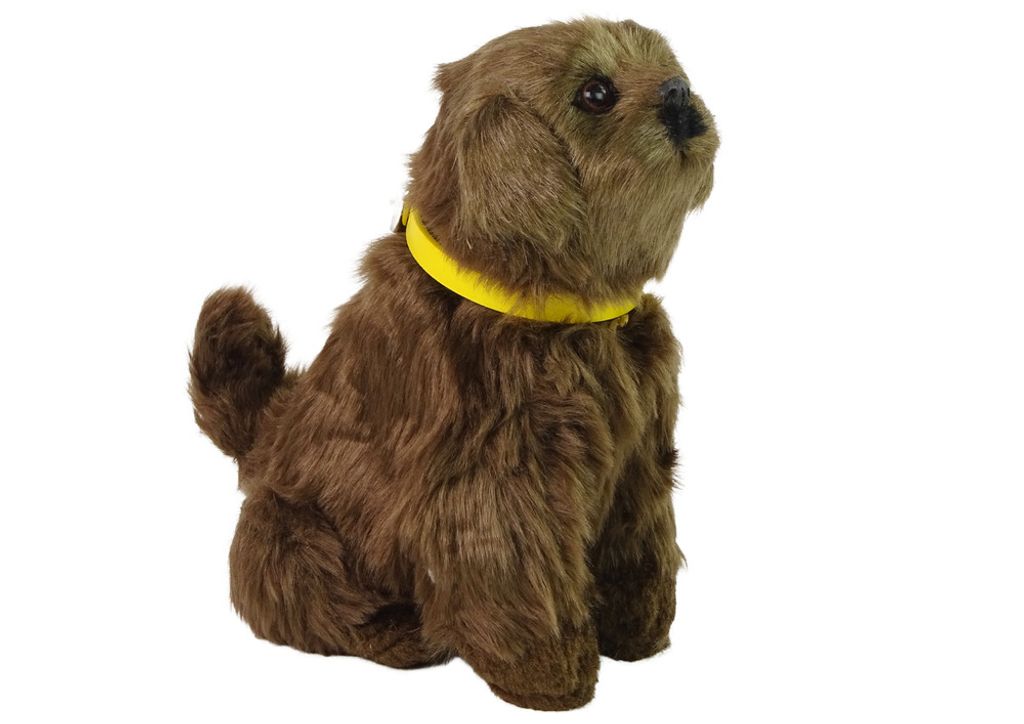 Lean Toys Interaktiver Plüschhund Weiches Fell Streicheln Sie seinen Kopf und lernen Sie seine Funktionen kennen