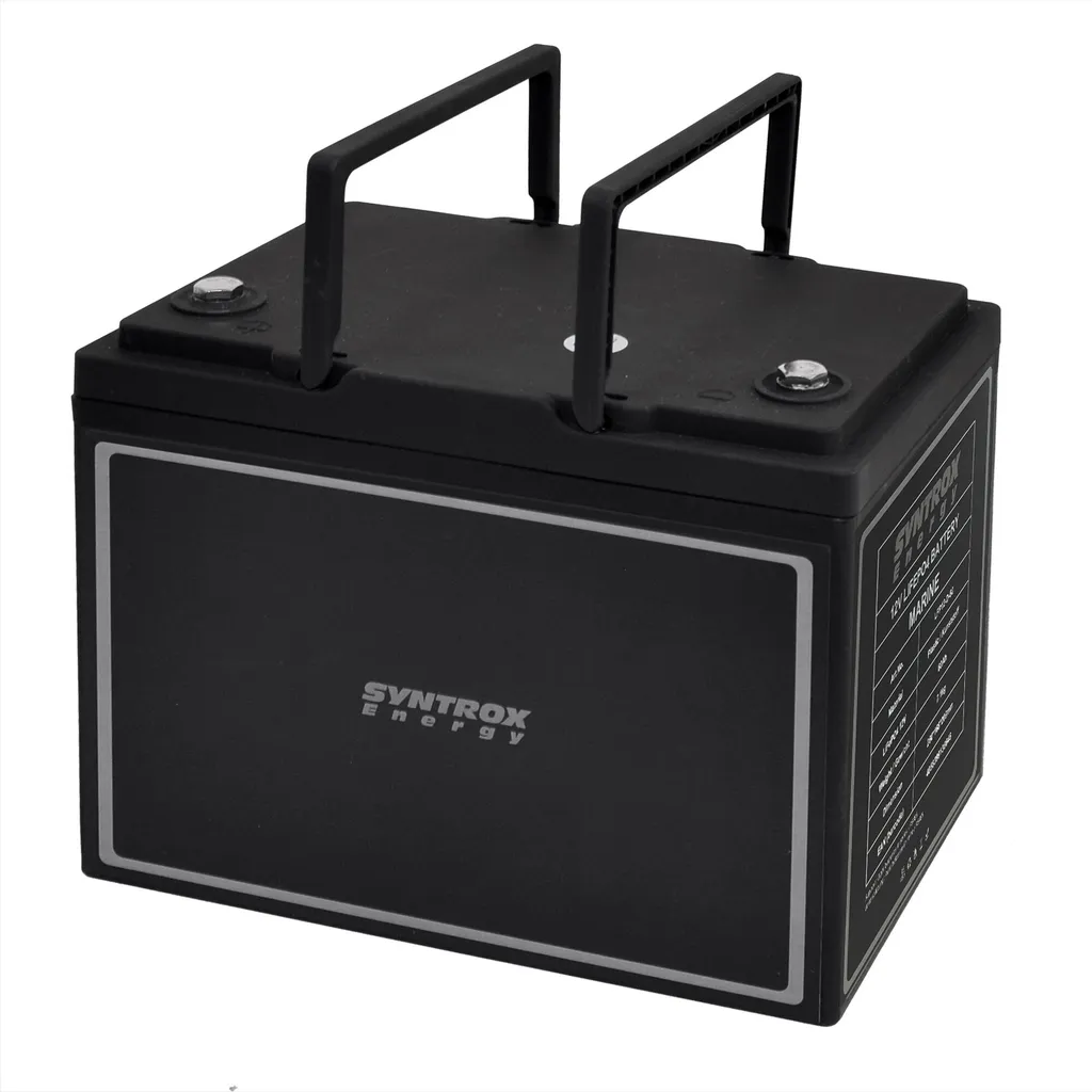 Batterie LiFePO4 12V 60Ah avec BMS intégré pour performance durable