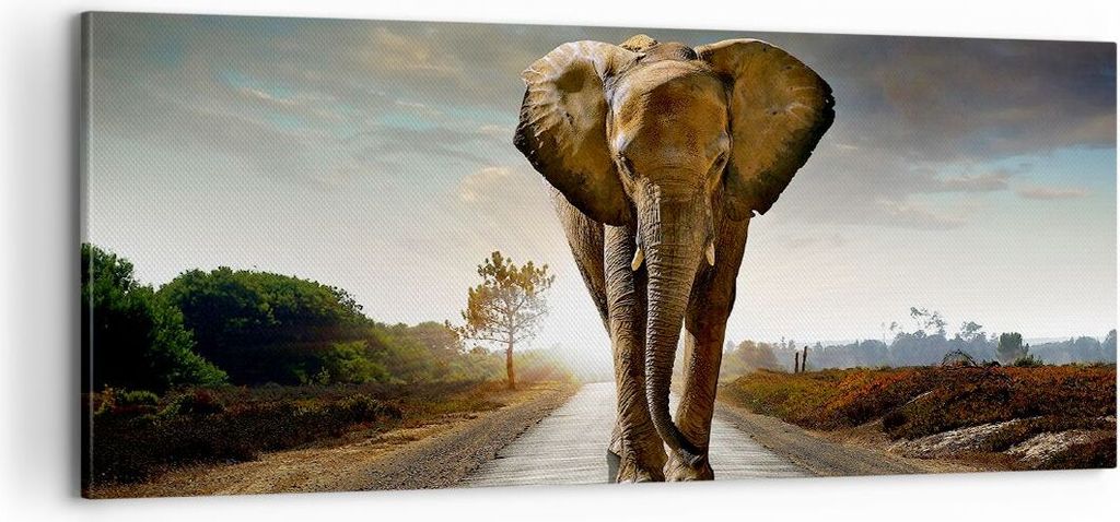 Bild auf Leinwand - Leinwandbild - Elefant Straße Landschaft - 100x40cm - Wand Bild - Wanddeko - Leinwanddruck - Bilder - Kunstdruck - Wanddekorat...