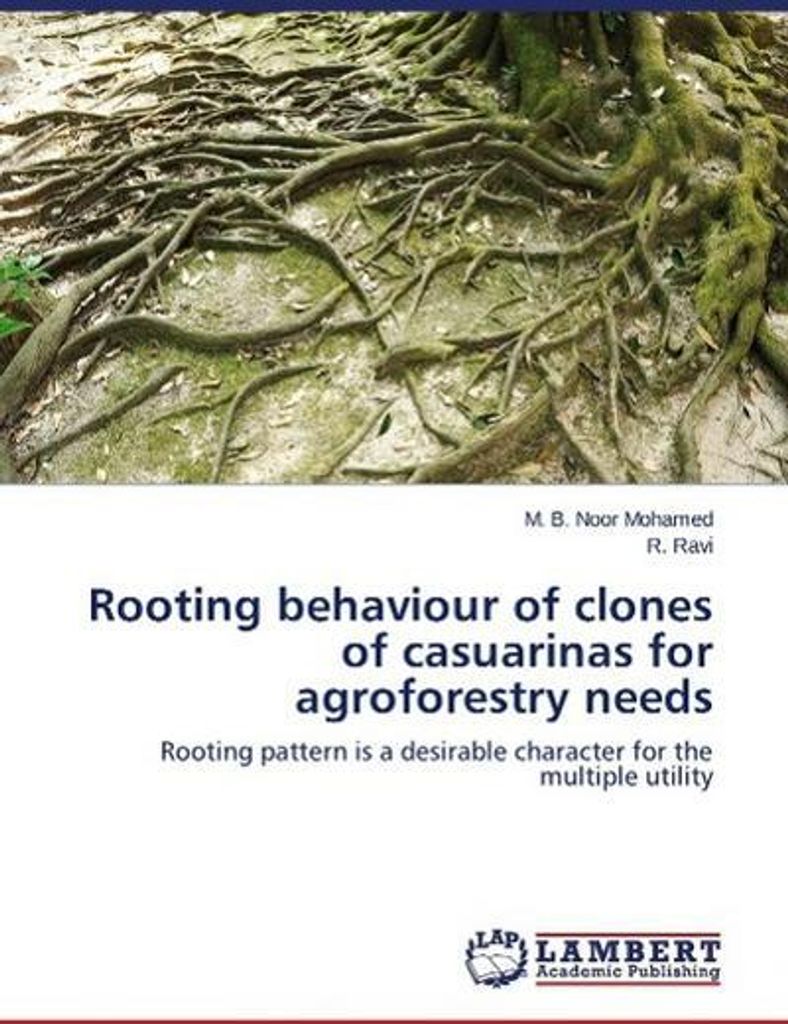 Rooting behaviour of clones of casuarinas for agroforestry needs