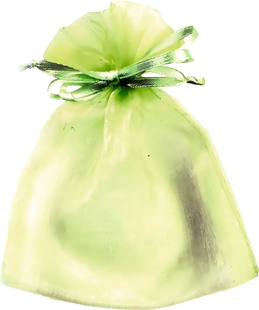 Knorr Prandell 216399589 Sachet Organza 13x10 cm Vert Tilleul x10