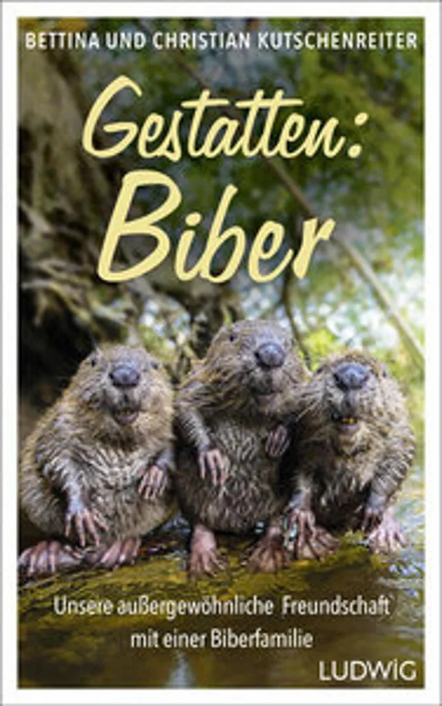 Peluche Castor douce Gestatten Biber - Finition artisanale et bois de hêtre