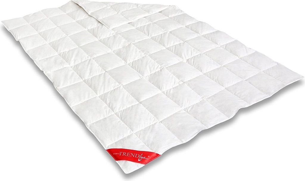 Badenia Trendline Daunendecke Princess Leicht Größe 135x200 cm Sommerdecke