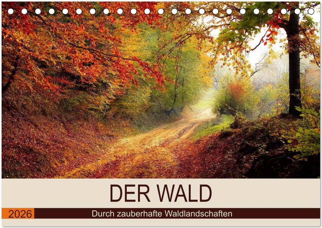 Der Wald. Durch zauberhafte Waldlandschaften (Tischkalender 2026 DIN A5 quer), CALVENDO Monatskalender