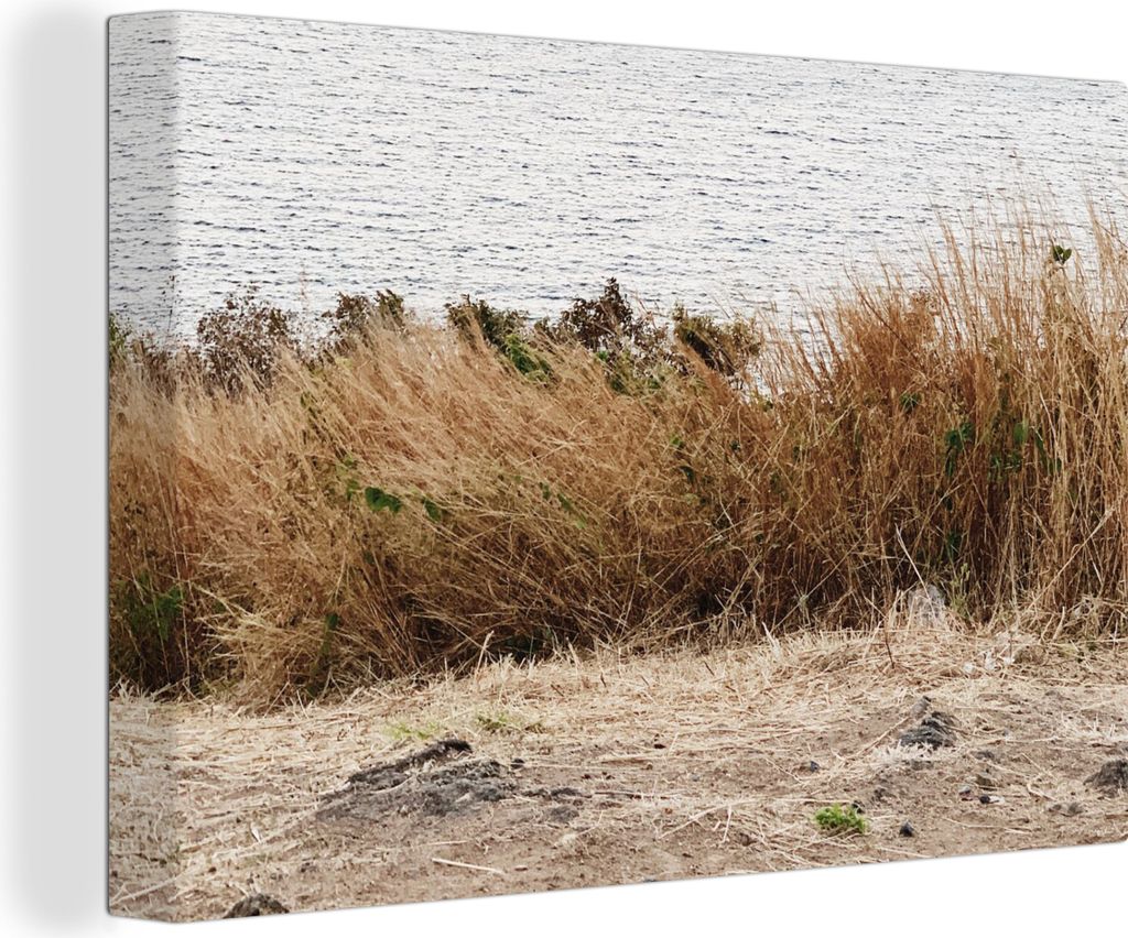 OneMillionCanvasses - Leinwandbilder - 150x100 cm, Düne - Gras - Pflanzen - Sommer, Wandbilder Kunstdruck Wanddekoration - Foto auf Leinwand - G...
