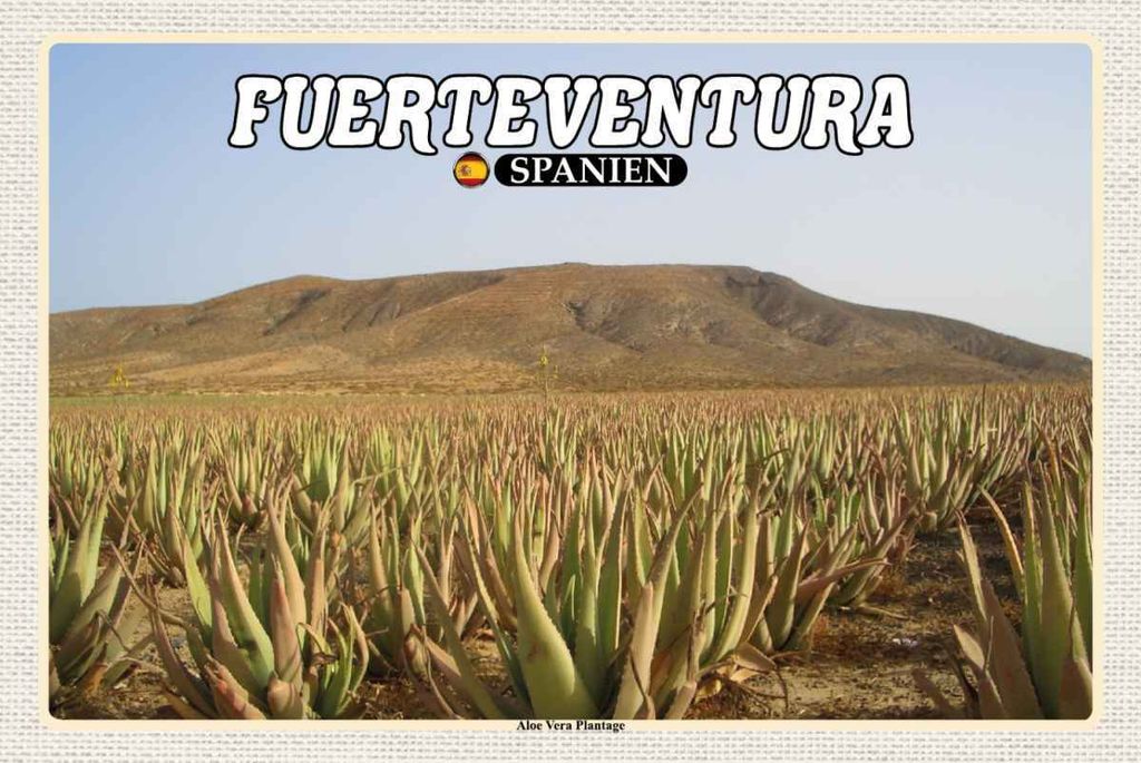 vianmo Holzschild 20x30 cm Fuerteventura Spanien Aloe Vera Plantage Bildmotiv Reisemotiv Europa