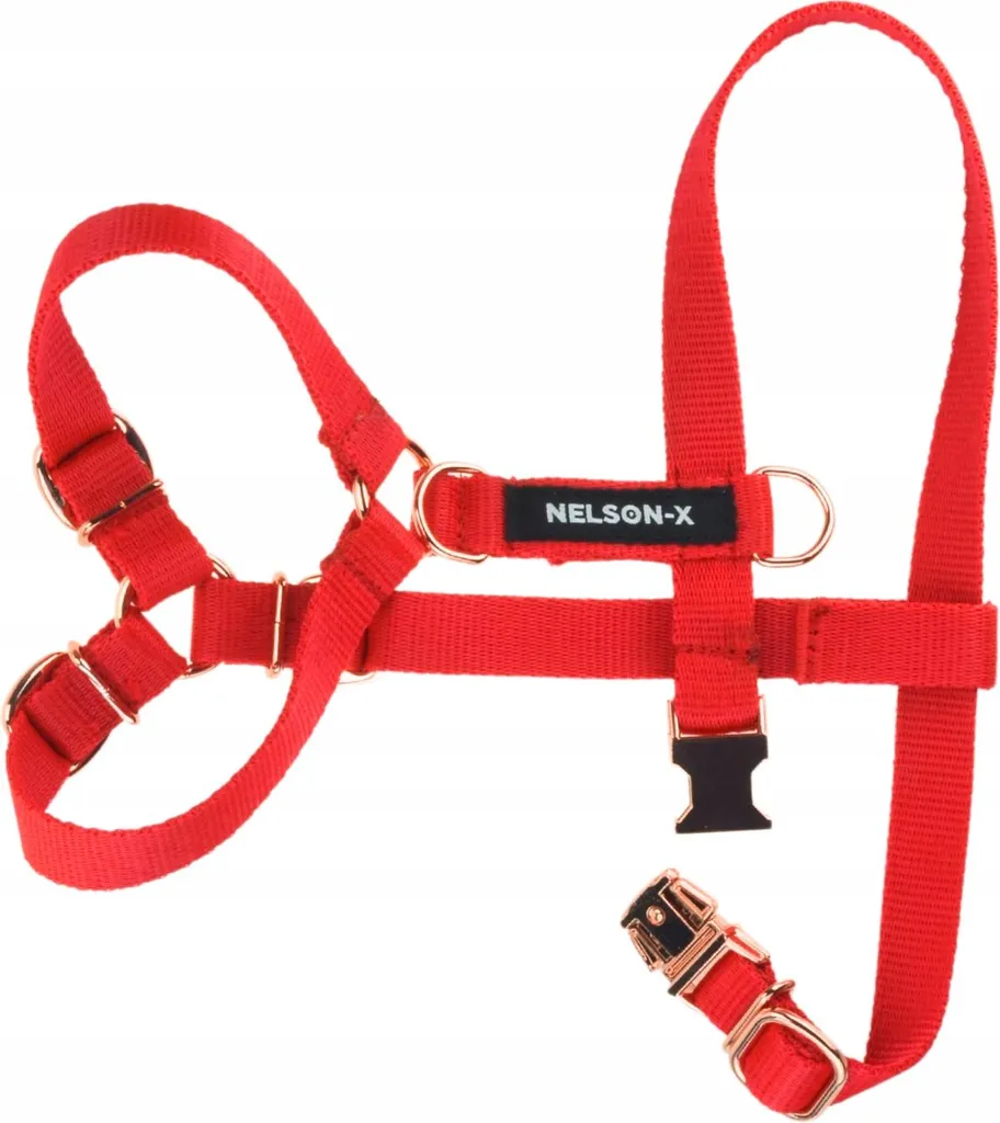 Pettorina Nelson-X Basic Goldie Oro XL | Eleganza e Robustezza per Cani - 3