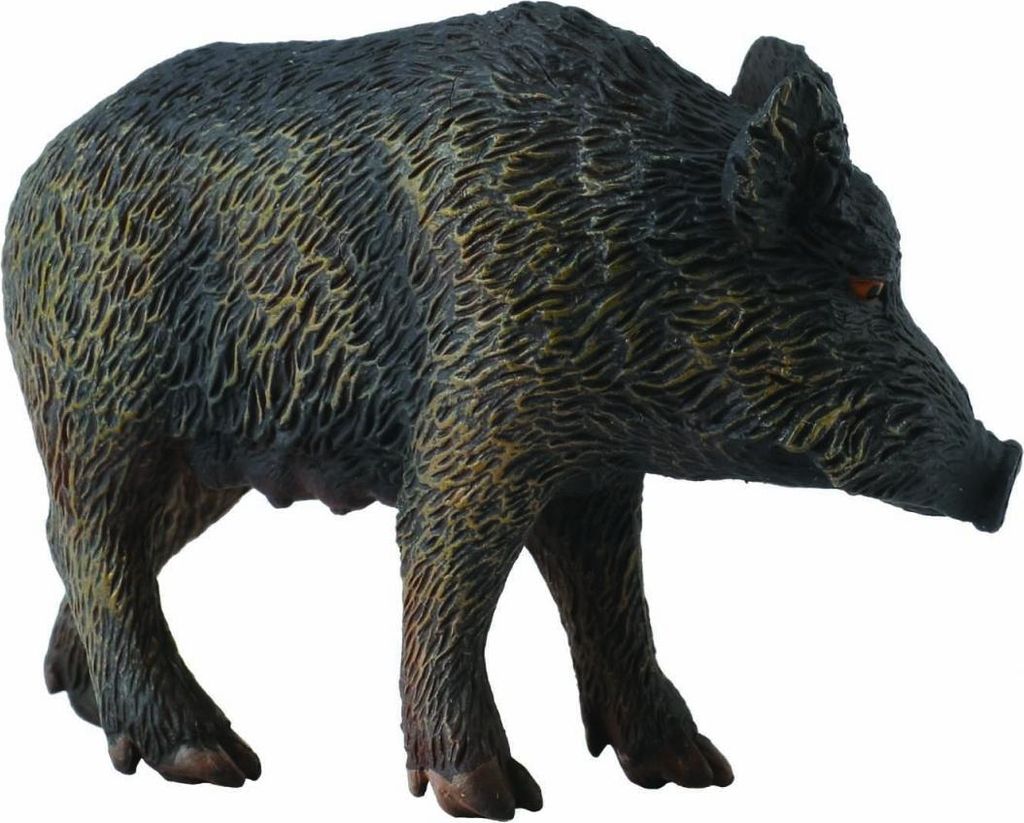 Collecta 88364 Wildschwein 6 cm Wildtiere Produktbild 