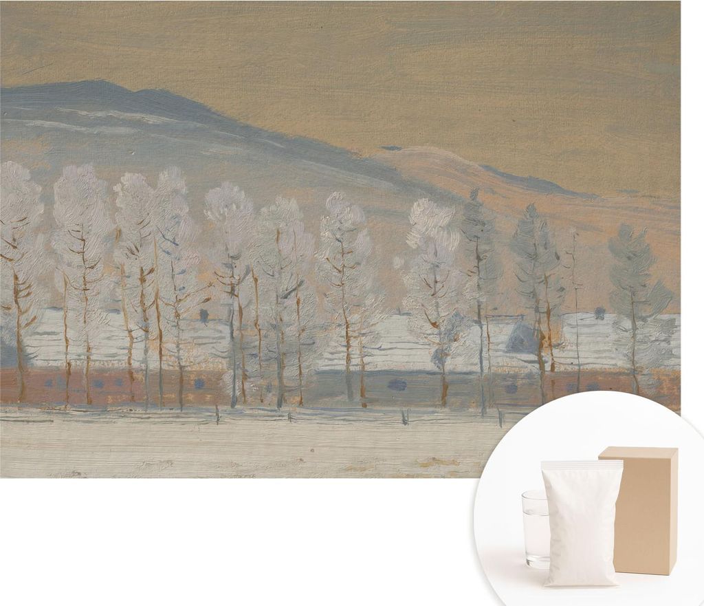 Fototapete - Wandbilder für Wohnzimmer - 312x219 cm - Dekorative Wandfolie - Modernes Design für Wanddekoration - Tapeten für Innenräume - Wint...