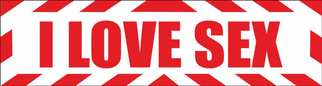 INDIGOS UG - Magnetschild "I love Sex" mit Rahmen 45 x 12 cm - Magnetfolie für Auto / LKW / Truck / Baustelle / Firma