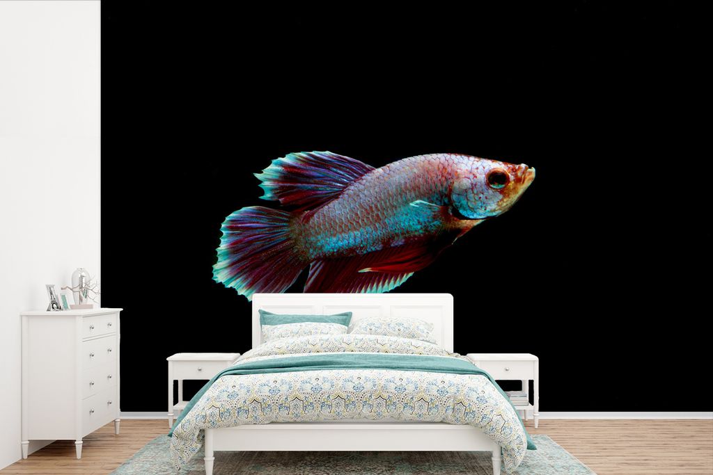 MuchoWow Fototapete für Wohnzimmer oder Schlafzimmer Wandtapete Vinyl Motivtapete Fische - Tiere - Licht - 600x400 cm - Vinyltapeten