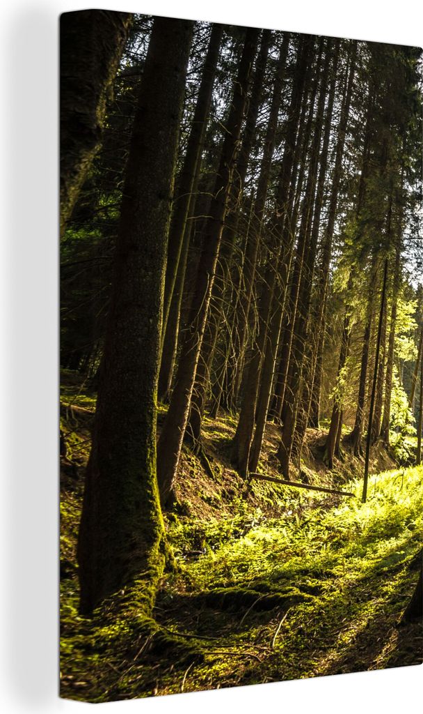 OneMillionCanvasses - Leinwandbilder - 90x140 cm, Baum - Natur - Sonne - Wald, Wandbilder Kunstdruck Wanddekoration - Foto auf Leinwand - Gemäld...