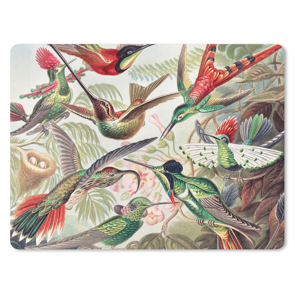 MuchoWow Mauspad Mousepad Kolibri - Vintage - Ernst Haeckel - Vogel - Kunst - Natur 40x30 cm - Mousepads - Maus Mat - Pad - Mausunterlage - Anti ...