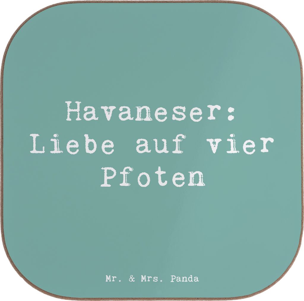 Mr. & Mrs. Panda Untersetzer für Gläser Spruch Havaneser Liebe - Meeresbrise - Geschenk, bieruntersetzer, Haltung, Hunderassen Vielfalt, Charakte...