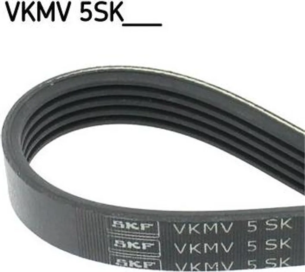 Courroie trapézoïdale crantée SKF 5SK705 pour moteurs Ford et Volvo