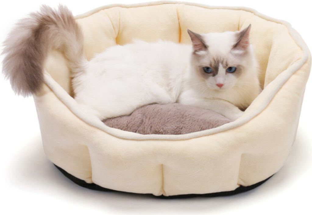Kleinhaustiersofa (Katze und Hund)-Crem
