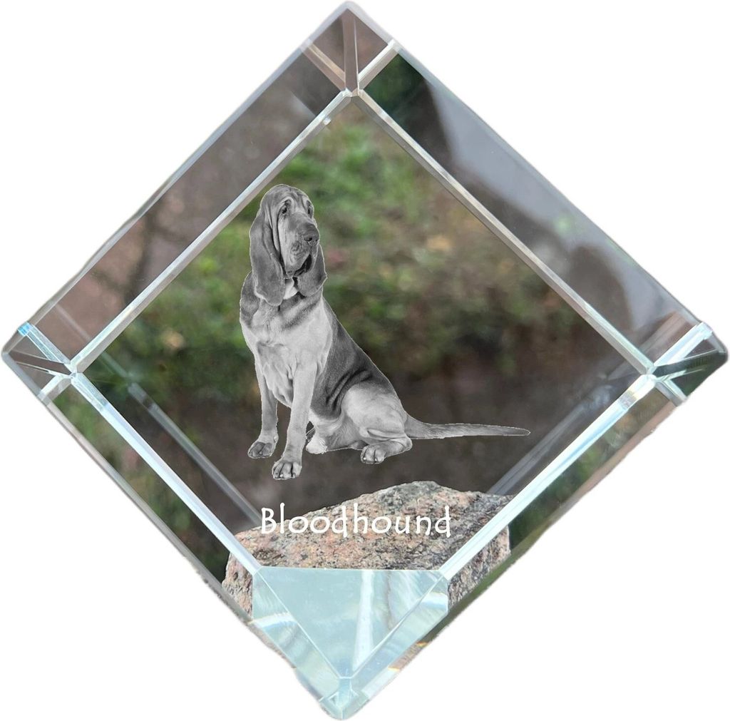 Bluthund, Bloodhound, Chien de St Hubert - Kristallwürfel mit Bild, Pferdebild im Kristall, sechseckiger Papierclip der Marke Art-Dog