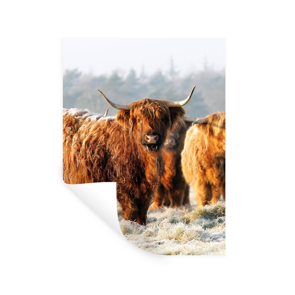 MuchoWow Wandtattoo Wandsticker Wandaufkleber Schottische Highlander - Schnee - Wald 30x40 cm Selbstklebend und Repositionierbar - Sticker - Deko...