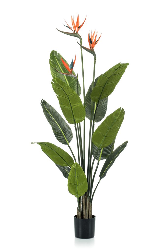 Emerald Künstliche Pflanze Strelitzia im Topf mit Blumen 120 cm