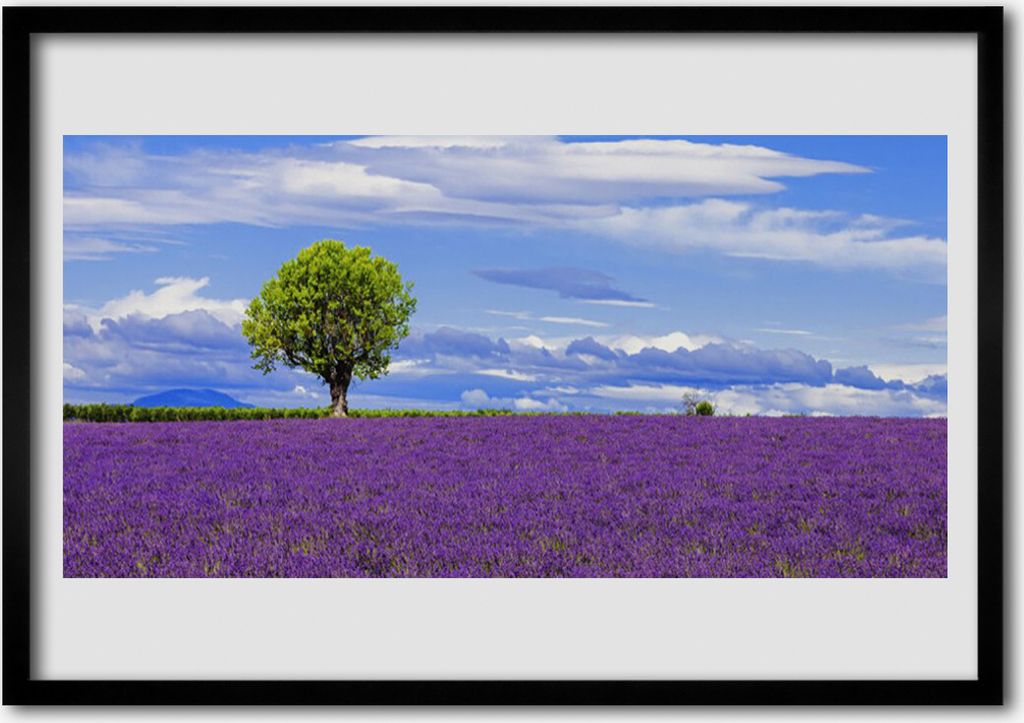 Bild 100x70 MDF-Rahmen Wandkunst Feld Lavendel Natur Baum Produktbild 