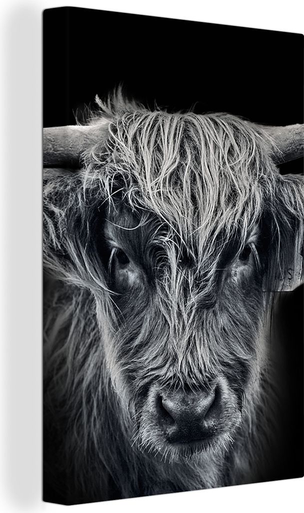 OneMillionCanvasses - Leinwandbilder - 90x140 cm, Schottisches Hochlandrind - Schwarz - Kuh - Tiere, Wandbilder Kunstdruck Wanddekoration - Foto ...