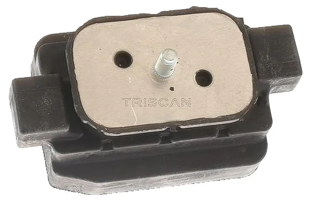 Stop Vibrations : Support Boîte de Vitesses TRISCAN pour BMW Série 5