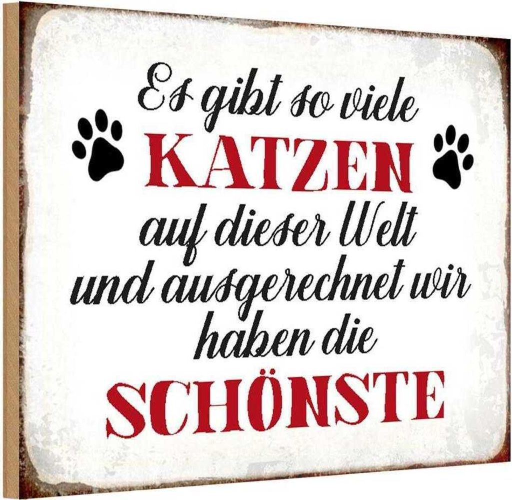 vianmo Holzschild 12x18 cm wir haben die schönste Katze Tier Haustier