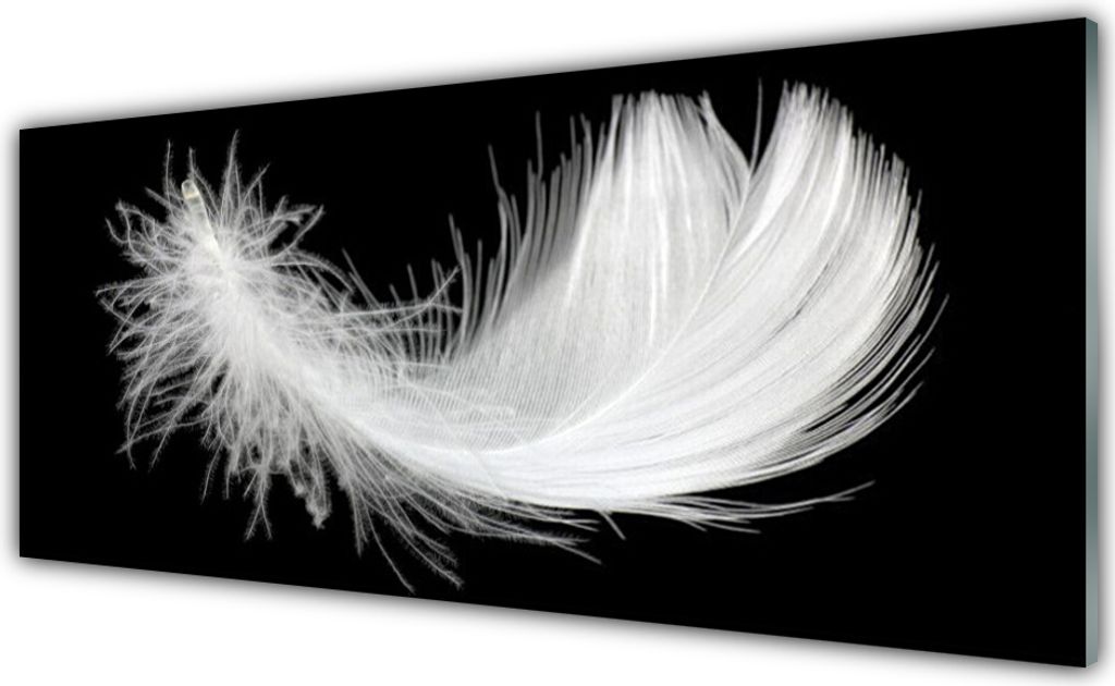 Küchenrückwand aus Glas 125x50cm Spritzschutz Feder Kunst