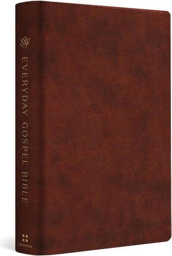 ESV Alltagsevangelium Bibel