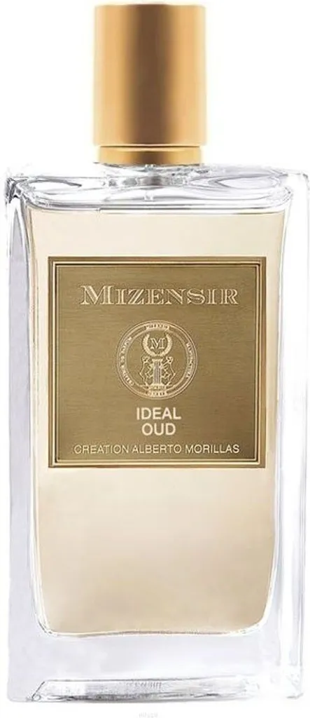 Mizensir Ideal Oud Eau de Parfum vapo 100 ml pour initiés