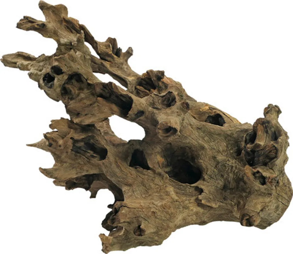 Racine de Barico Grande 30-45 cm - Décoration Naturelle pour Aquarium