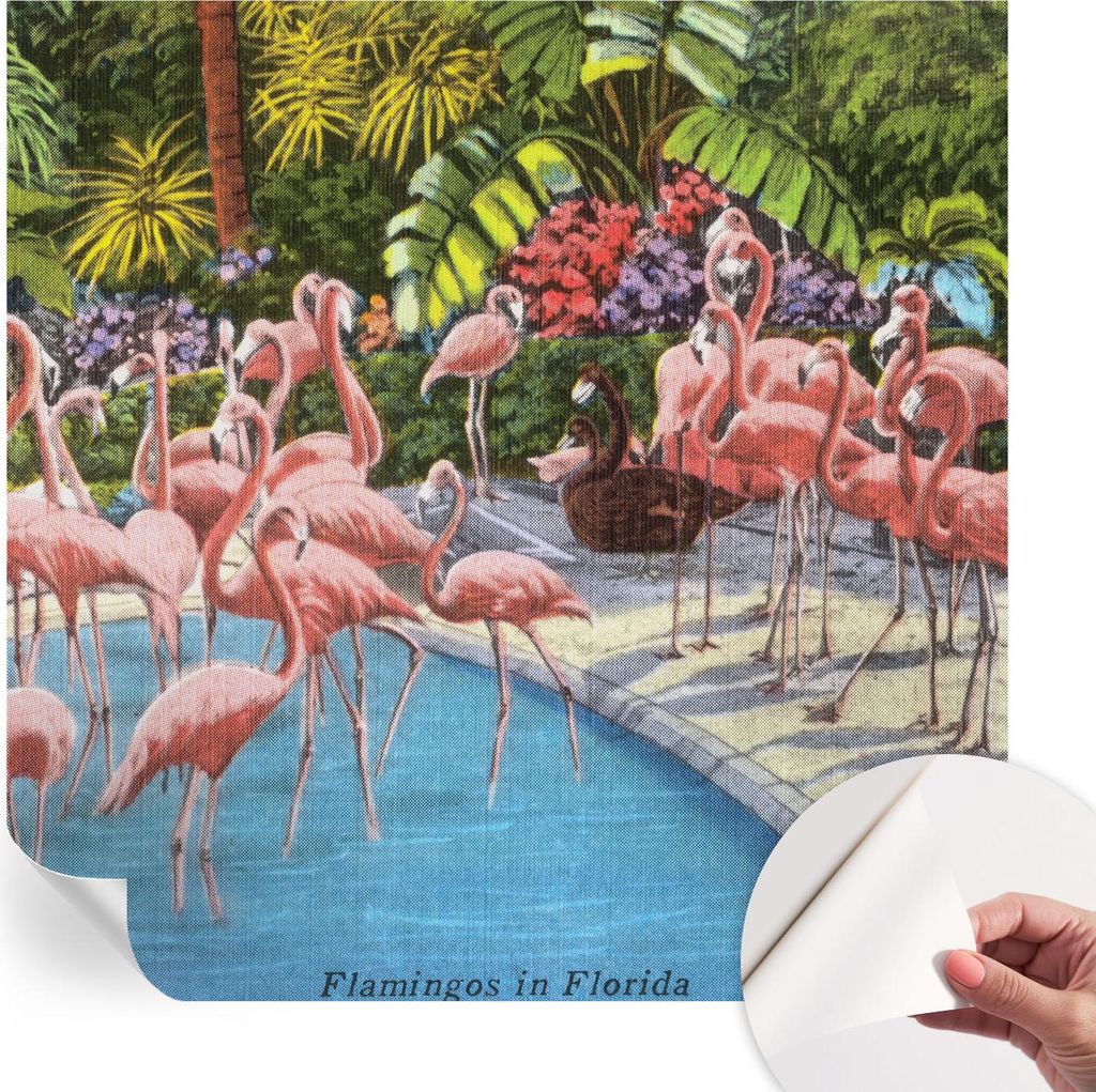 Selbstklebende Wandtapete - Dekorative Tapete für Wohnzimmer - Klebefolie für Wandbilder - Tapetenfolie für Wanddekoration - 250x250 cm - Exotis...