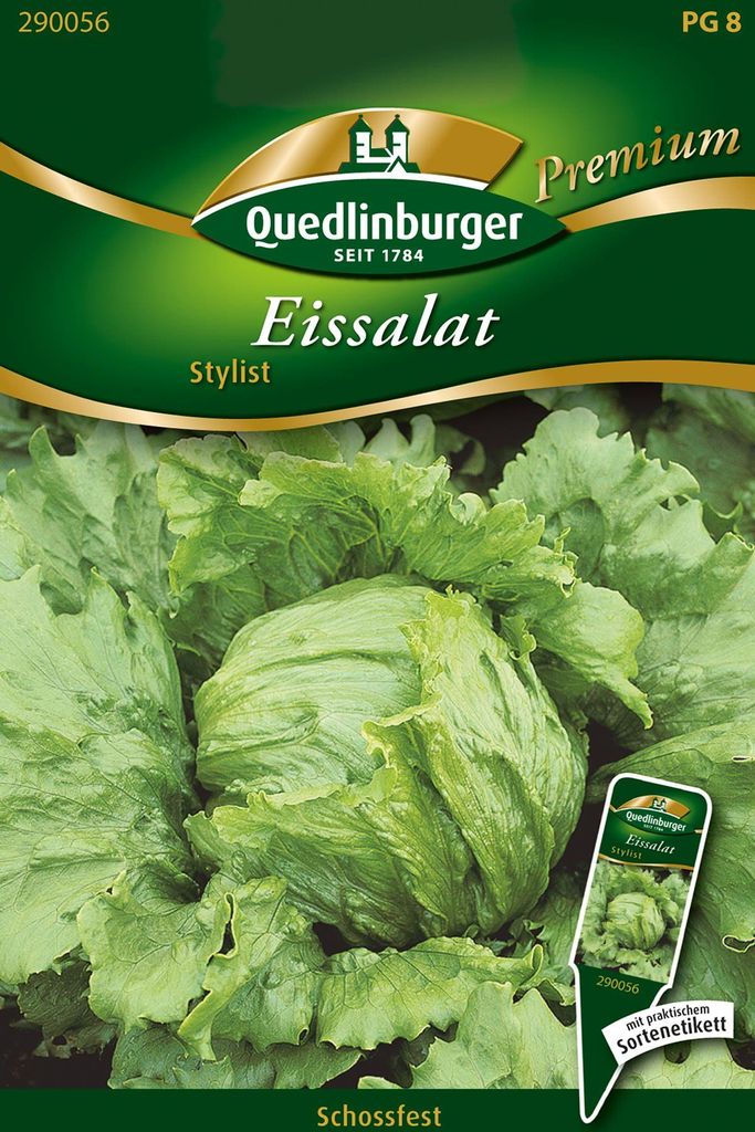 Quedlinburger Saatgut - Eissalat Stylist - Samen - 290056