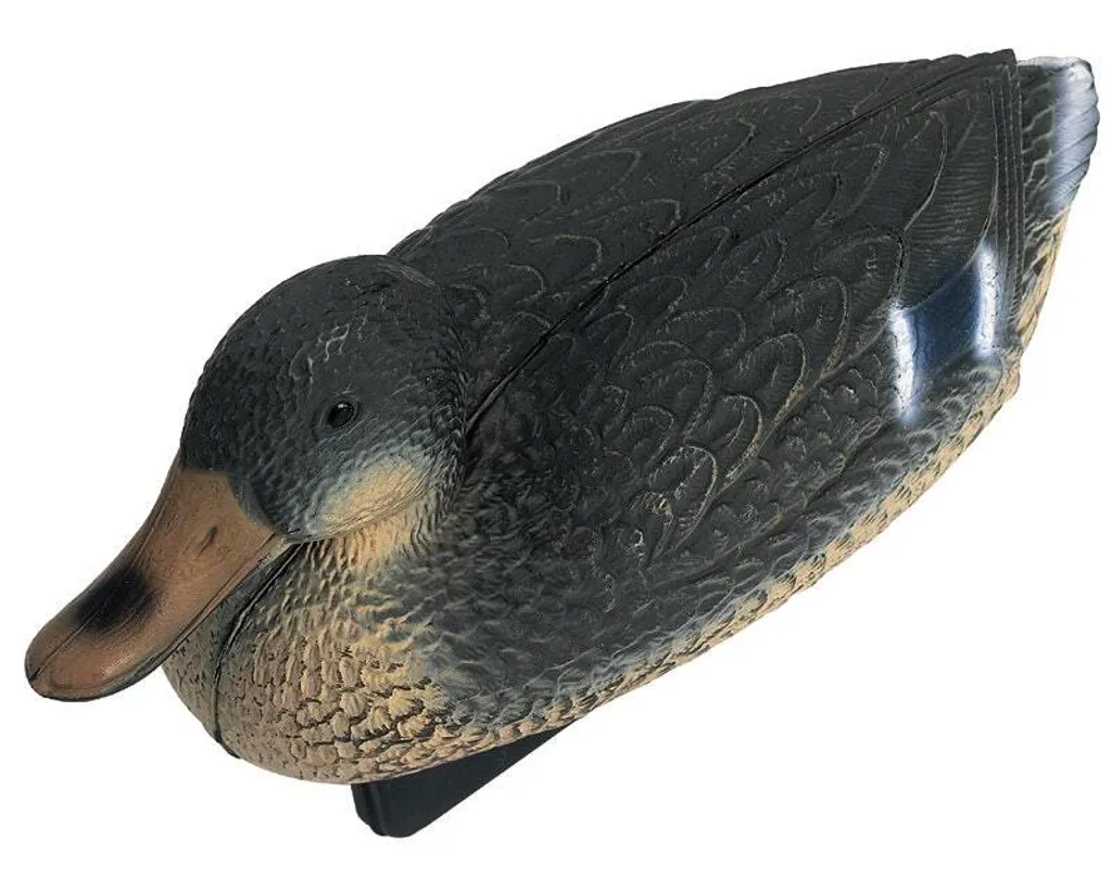 Figurine Bassin Canard Colvert Femelle Oase avec Finition Haute Qualité