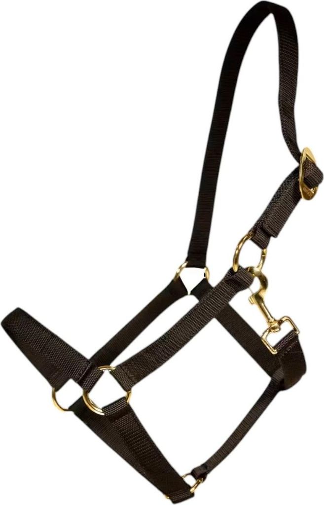 Kentucky Horsewear Nylonhalfter Halfter Black Cob