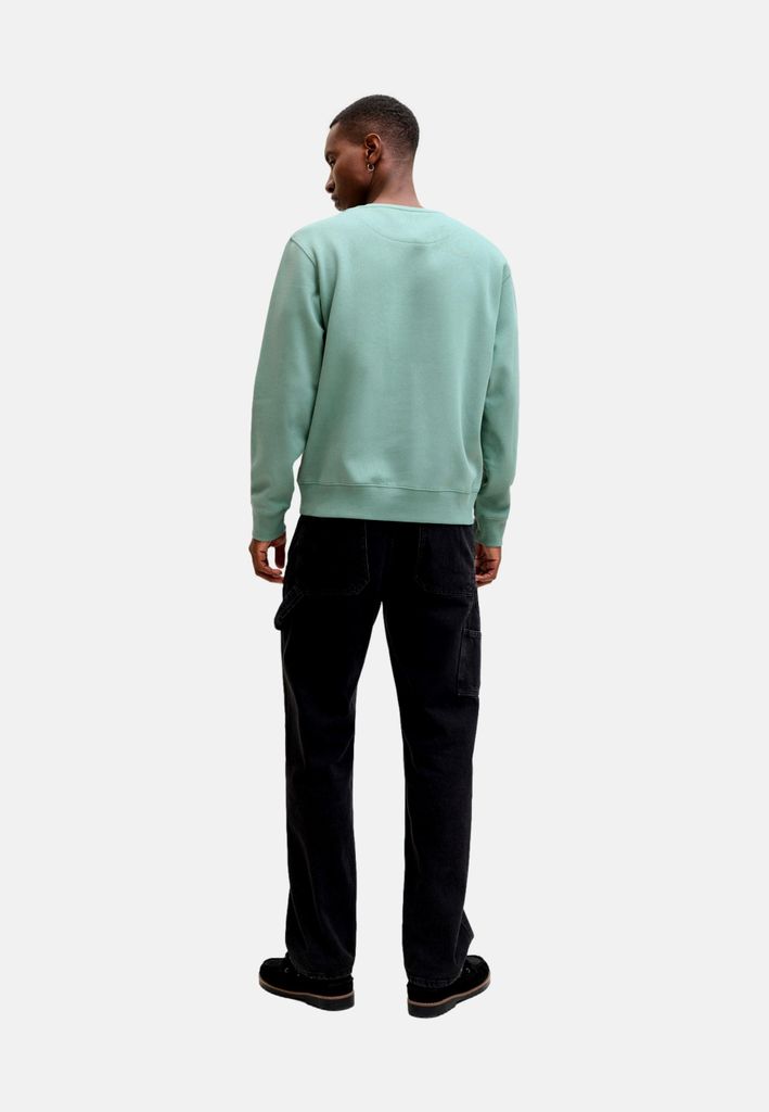 Jack & Jones Sweatshirt JJESTAR BASIC SWEAT CREW NECK